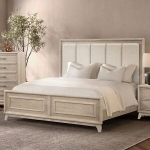 img 20251022 wa00806129074434043338481.jpg